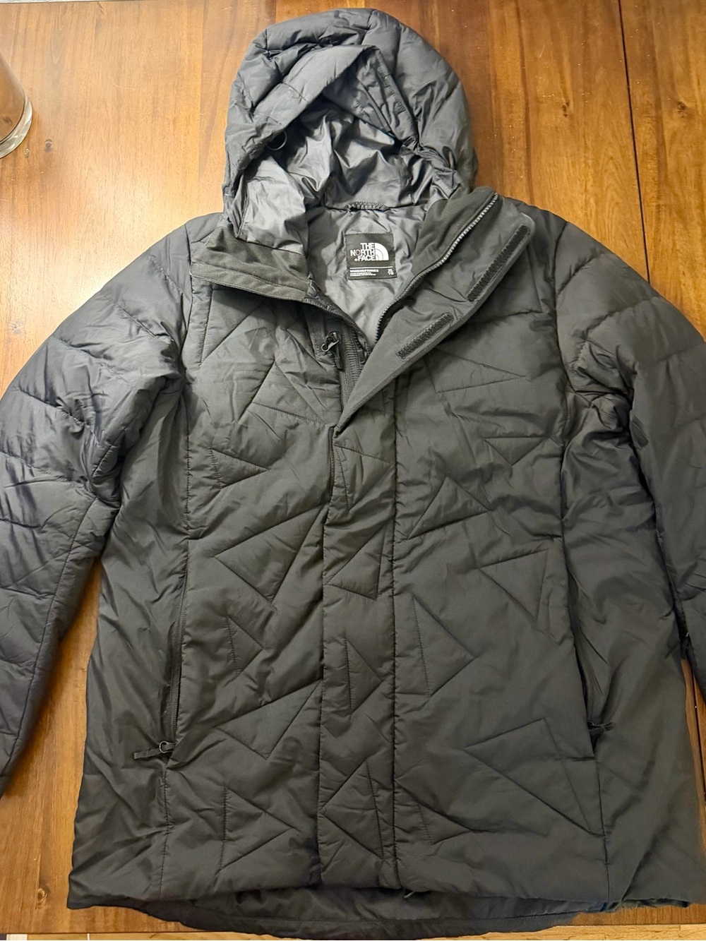 The North Face Women's 550 Hooded Ski Jacket
